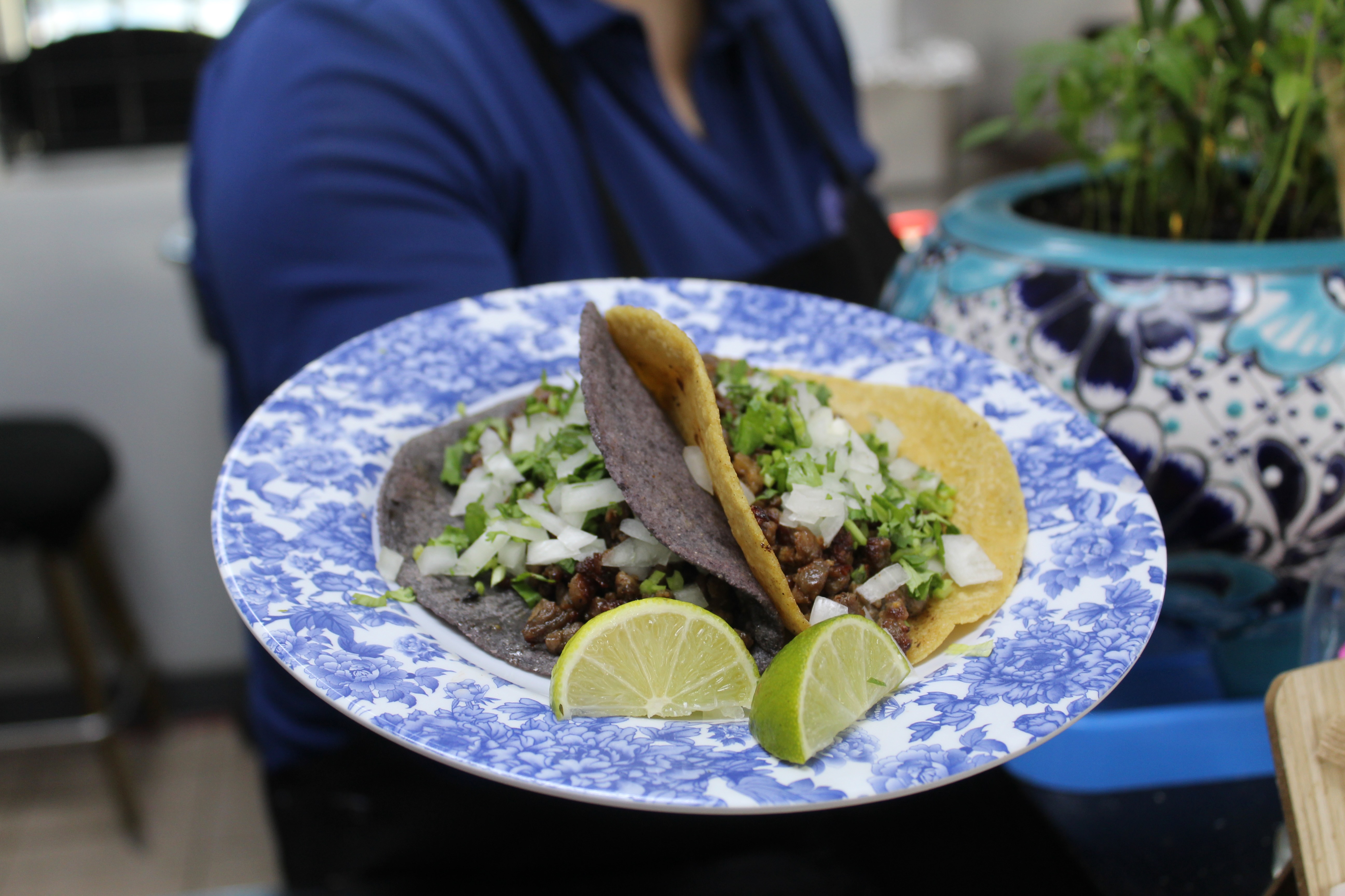 Taco Azul Plate Photo